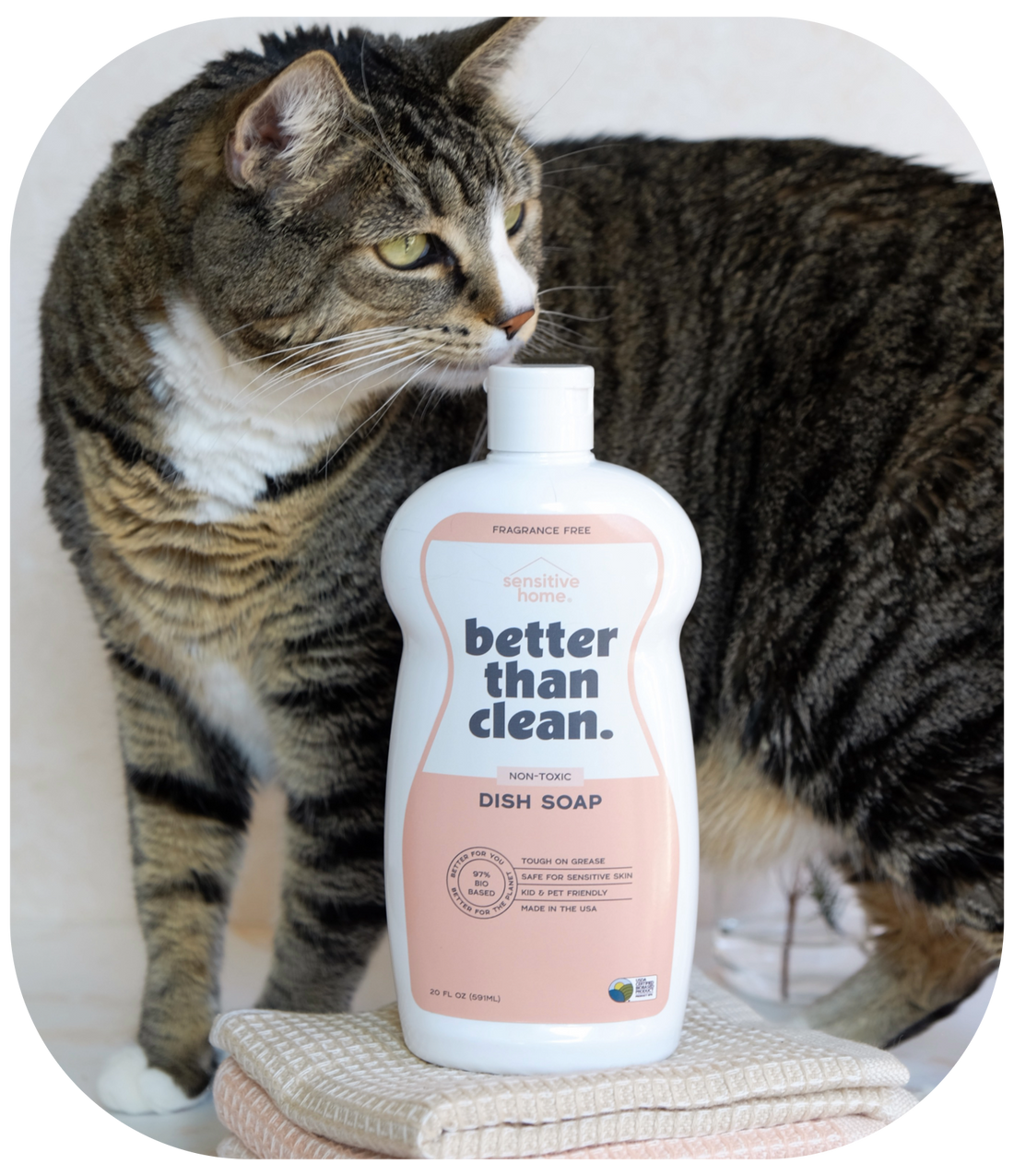 🌿 Why Hypoallergenic Cleaning Products Are the Hidden Hero for Sensitive Homes