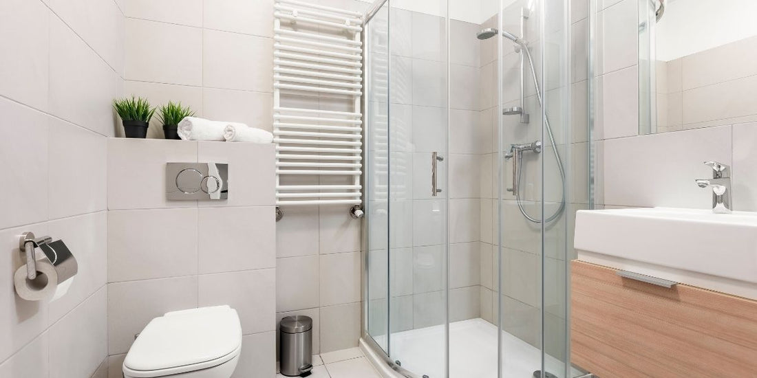 How to get rid of mold in your home
